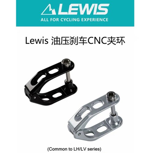 Lewis 夹环 用于LH / LV系列