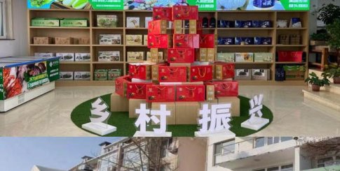 青島市舉辦鄉村振興品牌盛典，青島品品好糧油獲獎！