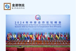 中非合作论坛－北京行动计划 中国对最不发达43国单方面零关税待遇