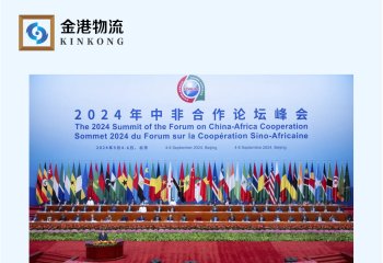 中非合作论坛－北京行动计划 中国对最不发达43国单方面零关税待遇