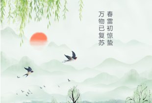 惊蛰遇春雨，物流人必备的“防潮作战手册”