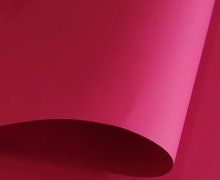 -1_0002_IMG_20250319_133426_edit_595170075785145