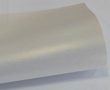 -1_0001_IMG_20250319_113702