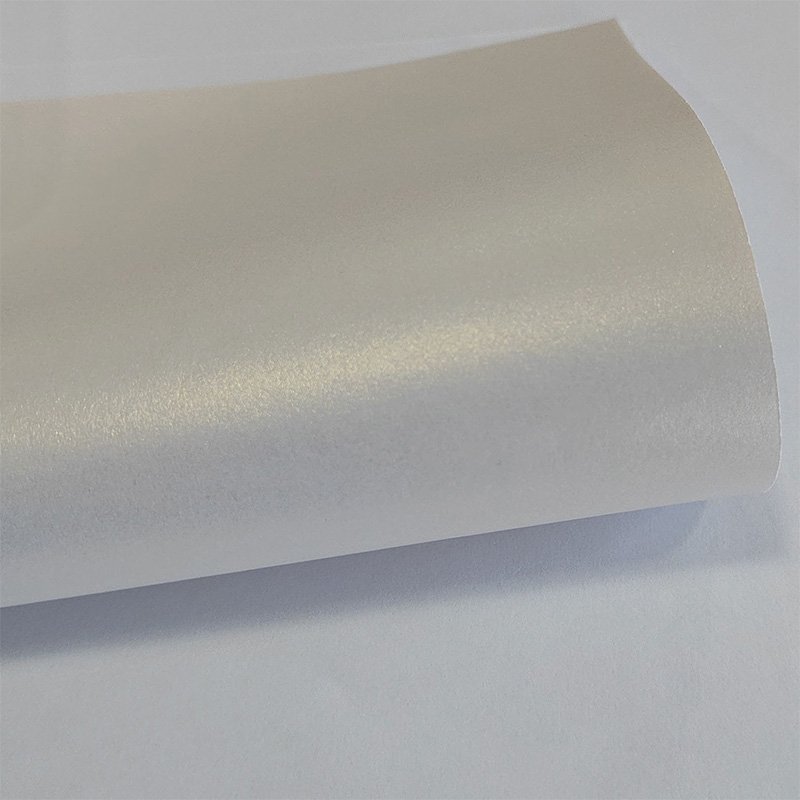 -1_0001_IMG_20250319_113702