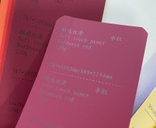 _20260225105811_462_20