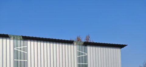 全球供应链调整驱动国际空运新格局