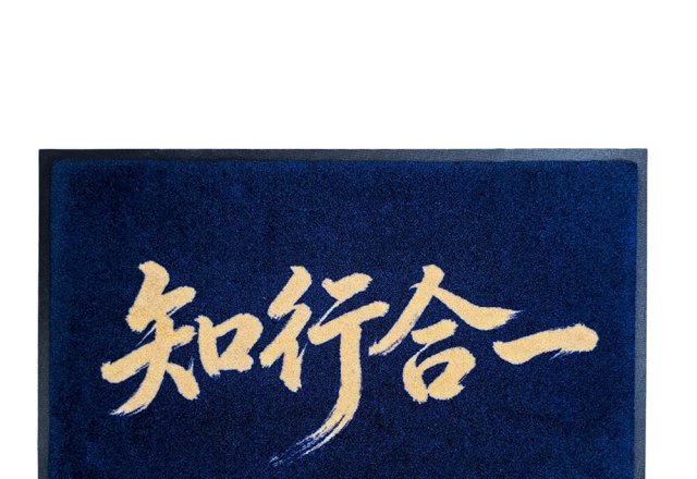 HY950 尼龙印花地毯