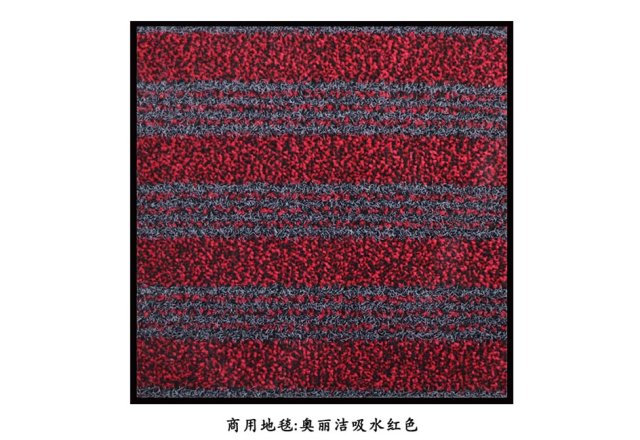 奥丽洁吸水地垫