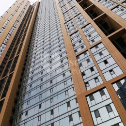 -1_0001__0005_图层 2