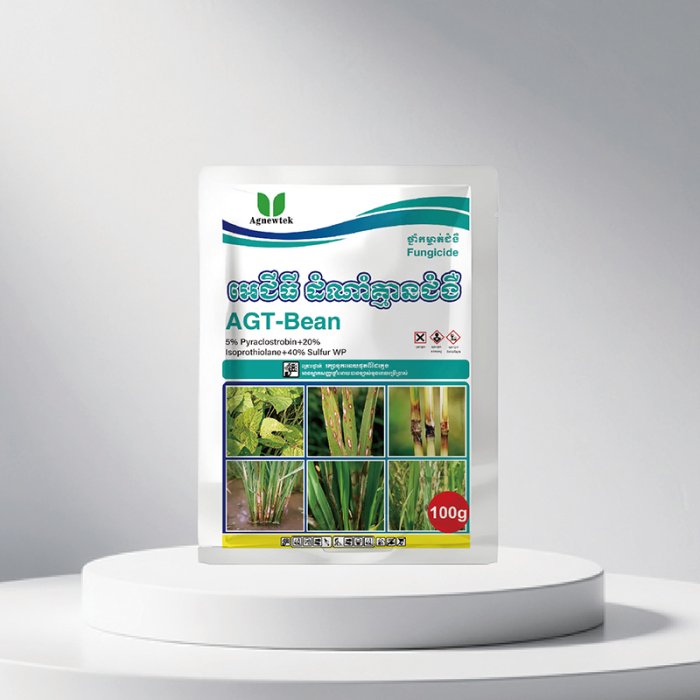 AGT-Bean