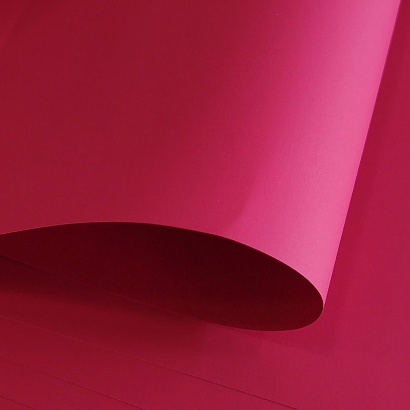 -1_0002_IMG_20250319_133426_edit_595170075785145