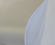 -1_0002_IMG_20250319_113745