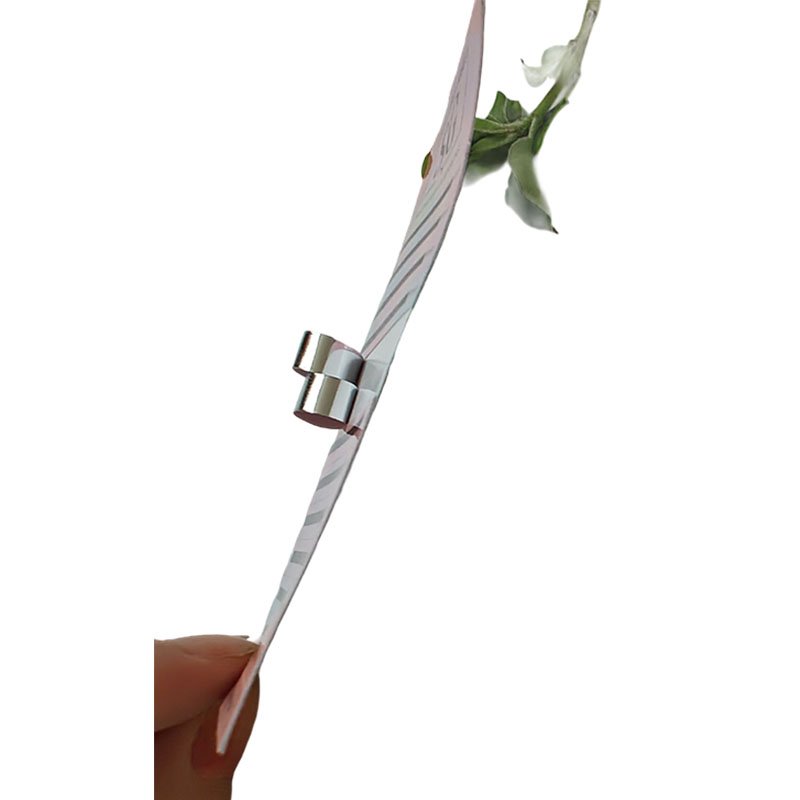 _0002_64b21141339a3b247cf5630cbb0c7c3e