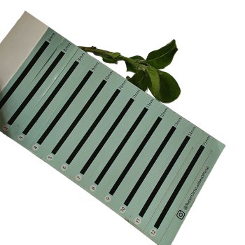 _0004_5f17bfa0a771db0c9b69c735b6810995