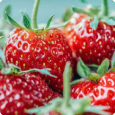 采购、质量和认证