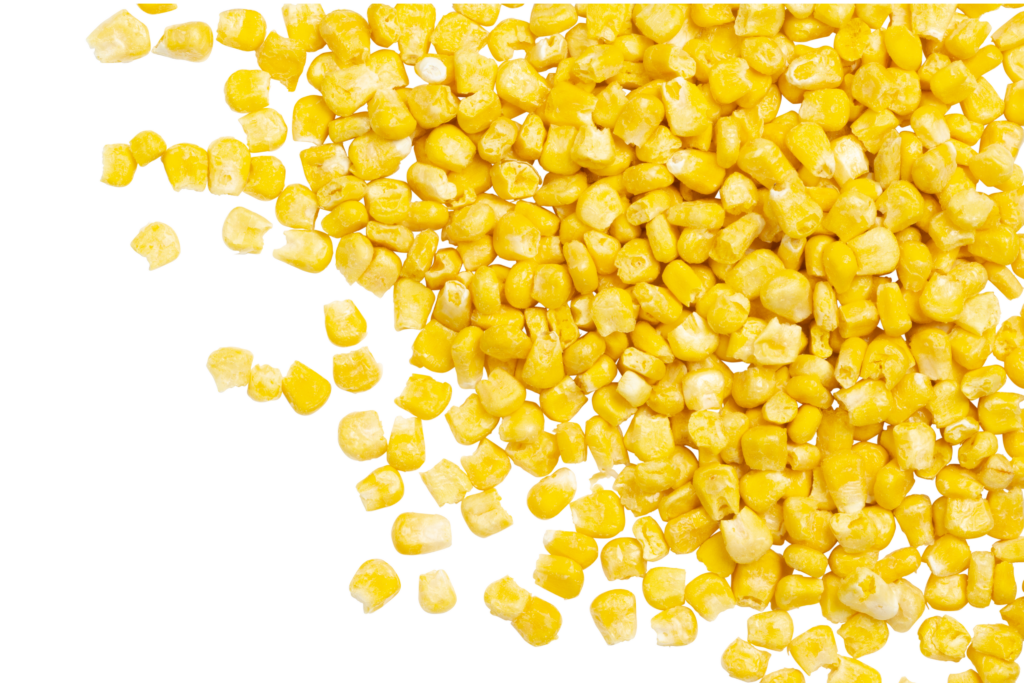 Freeze-Dried-Vegetables-Hero-1024x683