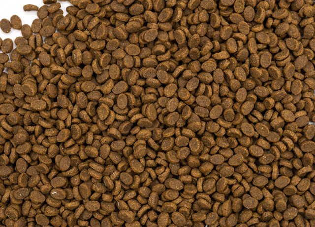 organic nutrition for pet breeding health