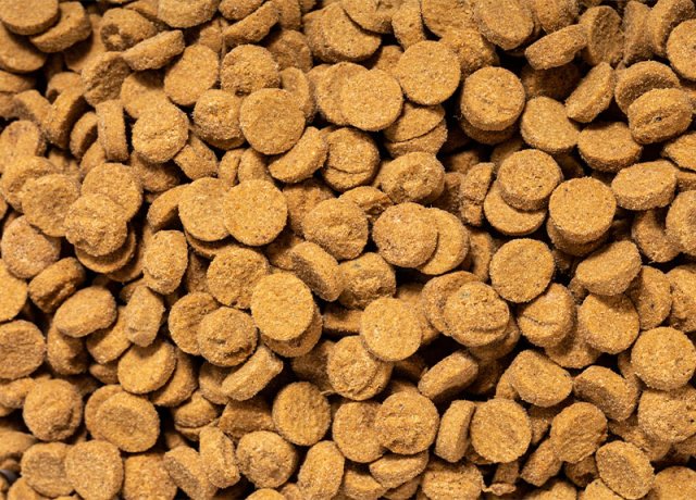 baked protein diet for daily feeding