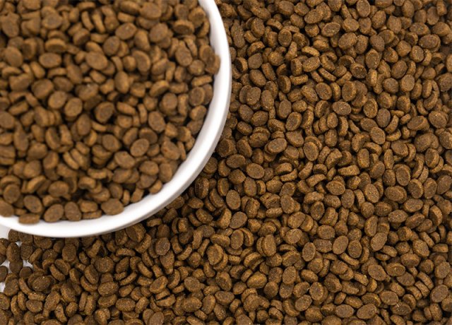 green puffed pet food for cats and dogs