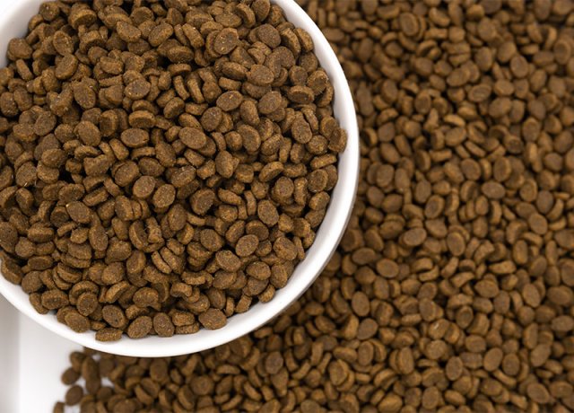 reproductive care organic pet food