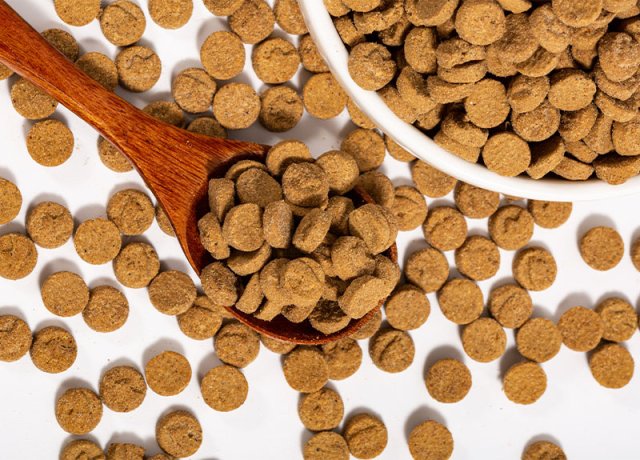 gently baked food for cats and dogs