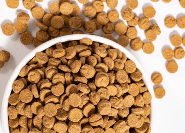 baked pet nutrition with fresh meat