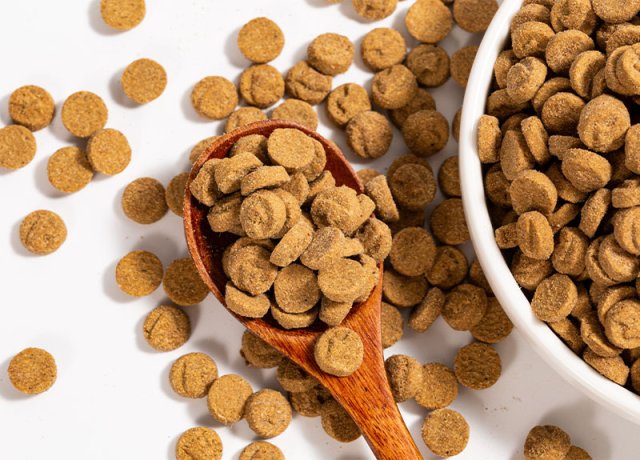 low temp baked food for digestion