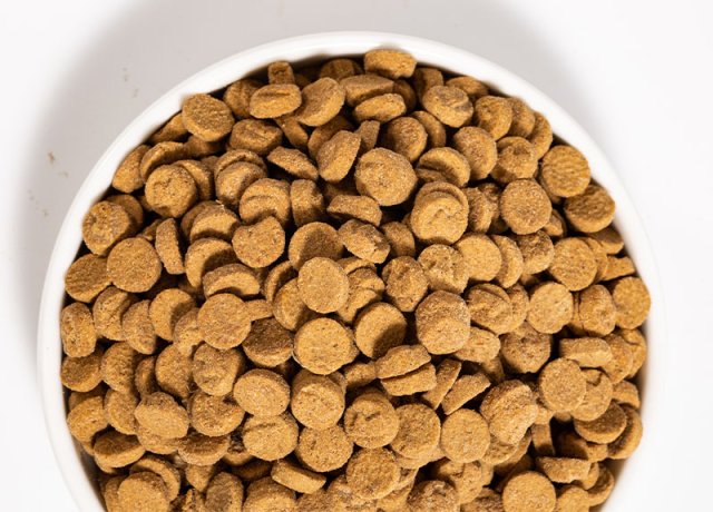 fresh meat baked food for pets