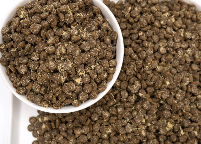 palatability enhanced puffed pet meal