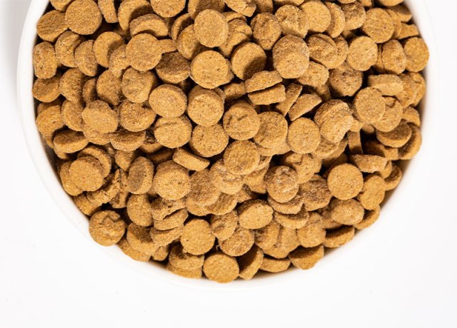 baked kibble with high protein content