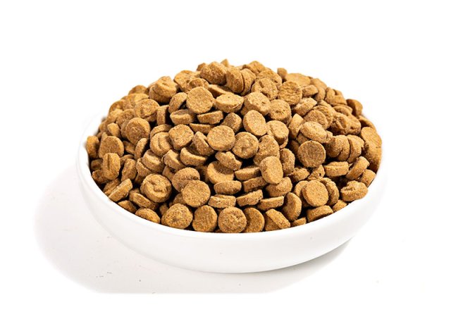 95% protein baked pet formula