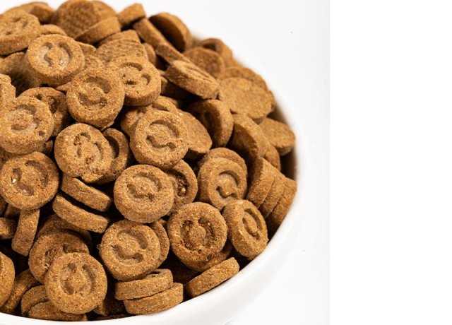 body-shaping baked pet nutrition