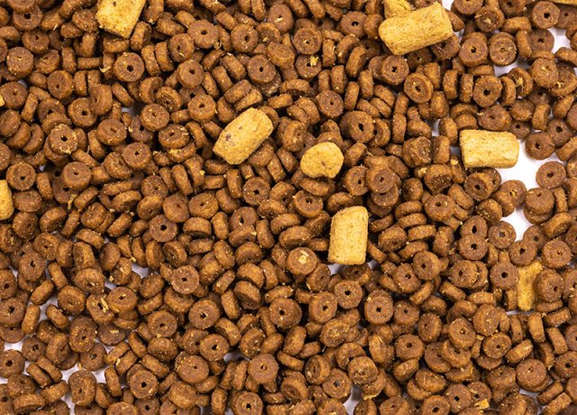 flexible freeze-dried feeding plan