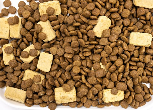 raw meat and bone diet for dogs and cats