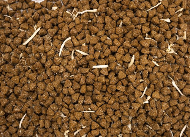 mixed pork baked formula for cats and dogs