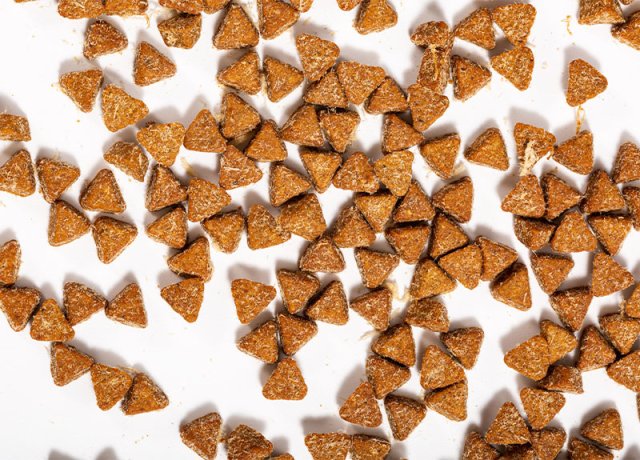 light baked food for cats and dogs