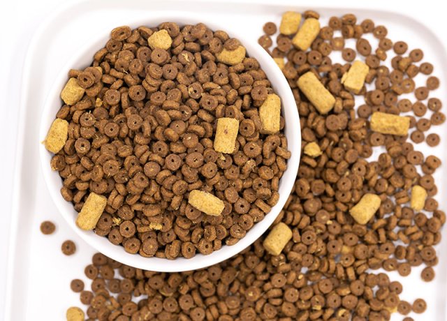 dual grain base freeze-dried pet recipe