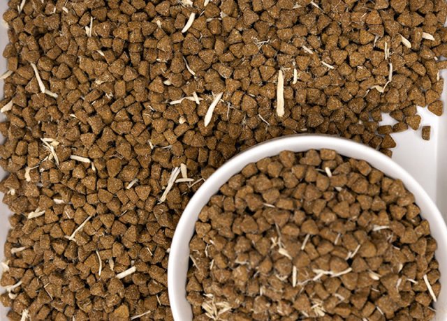shredded meat baked pet recipe
