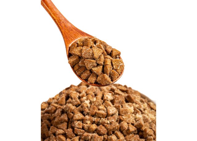 digestive-friendly baked pet recipe