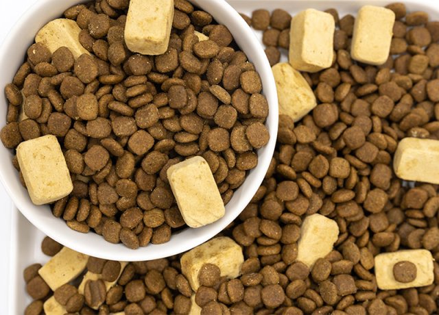 freeze-dried food for immune support