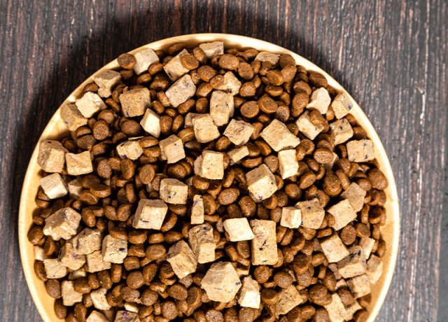 pet food with fruit veg and meat chunks