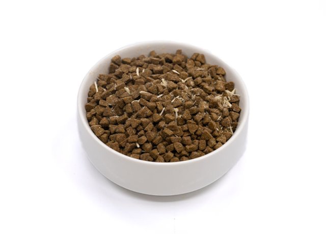 baked pet food with meat fibers