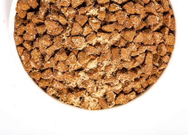 sensitive stomach support pet food