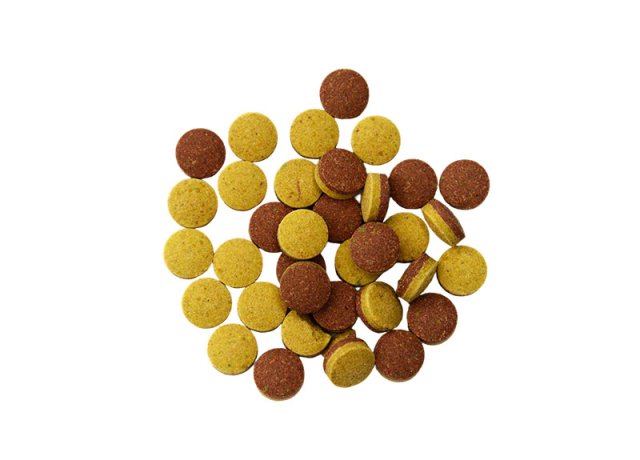 Balanced Health Tablet for Pet Wellness