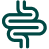 Intestinal Digestive System