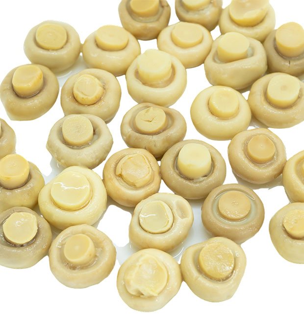 OEM customized mushroom packaging