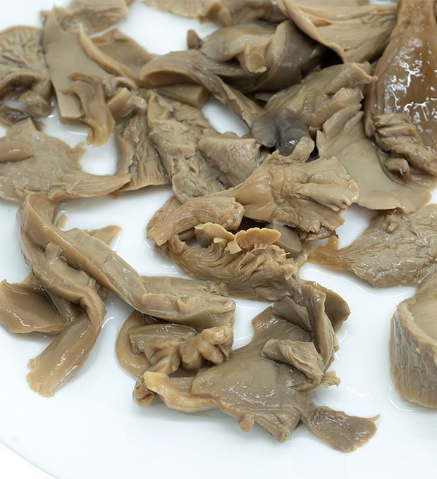 grey oyster mushrooms with firm texture