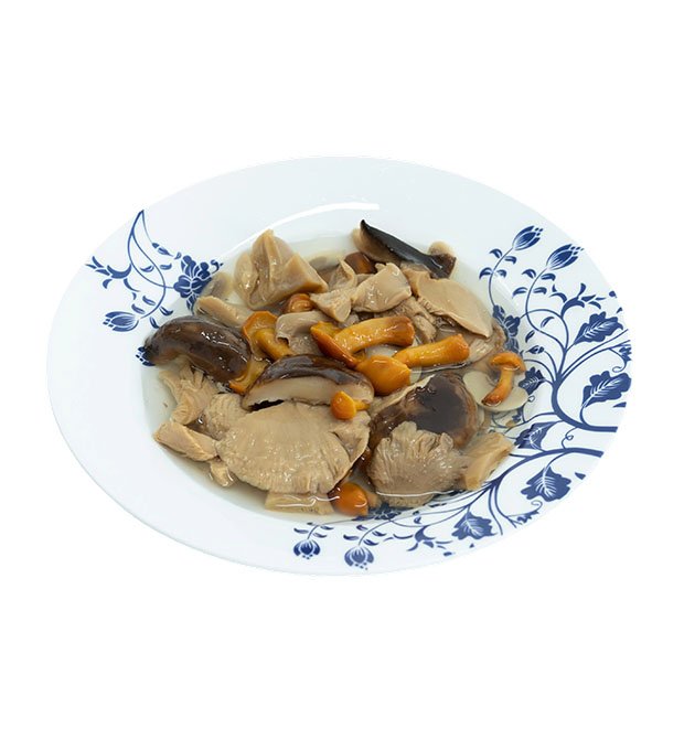 canned mushrooms with champignon and oyster