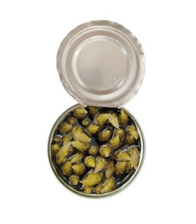 high quality canned asparagus in tins