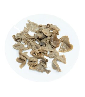 private label grey oyster mushrooms